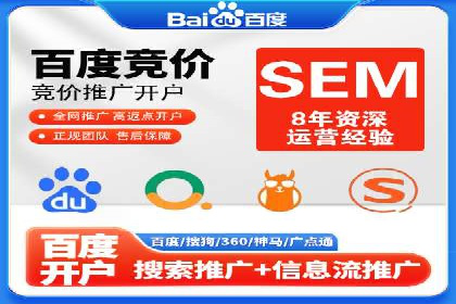 SEM广告投放策略：成功案例解析